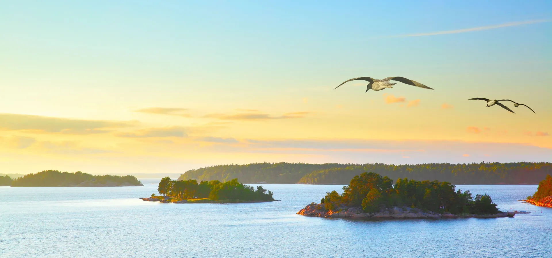 Vaxholm från ovan