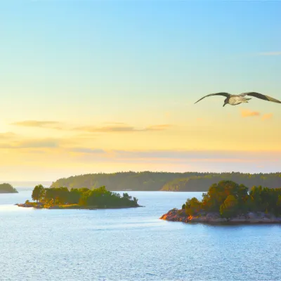 Helikoptertur över skärgården - Foto Shutterstock / VisitTo