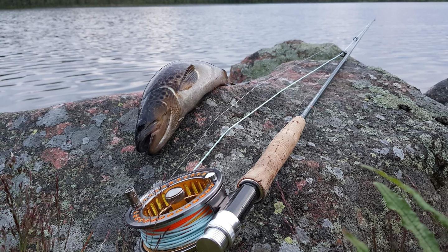 Flytringsfiske i privat sjö vid Kungsberget