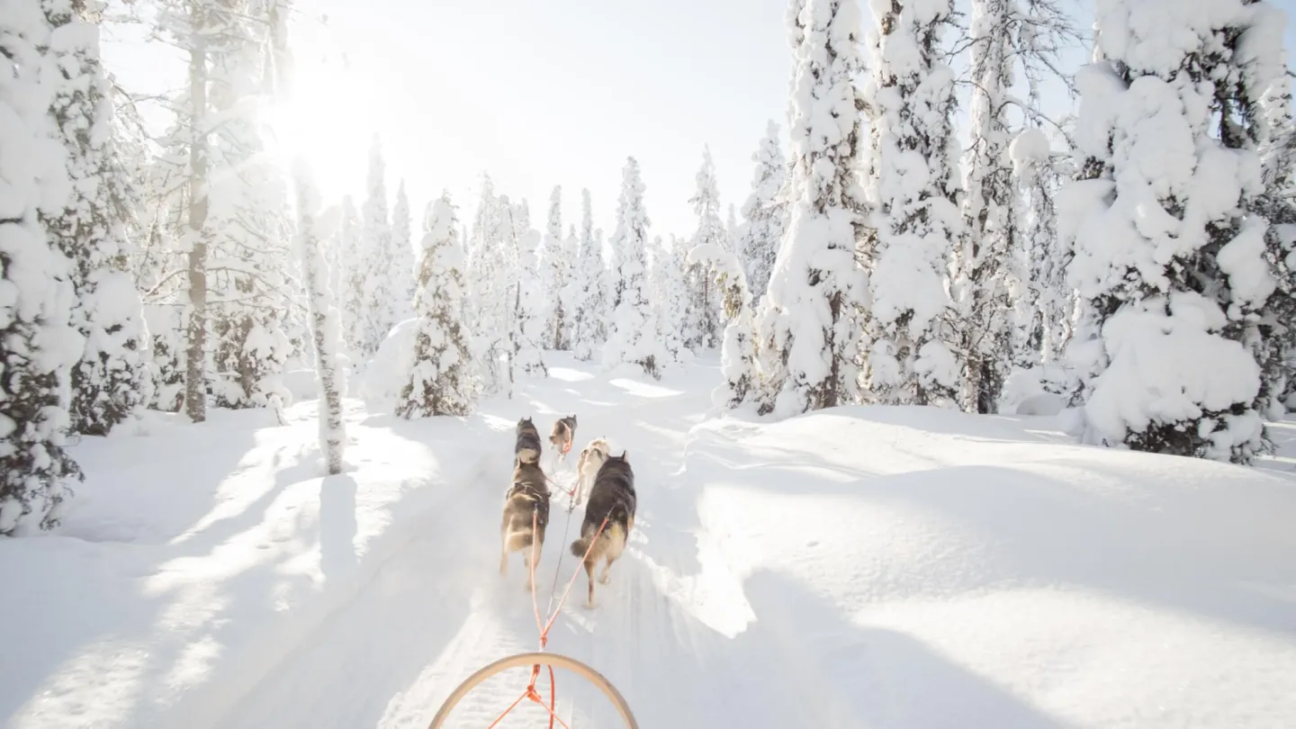 Jullov i Sverige - Foto Shutterstock / VisitTo