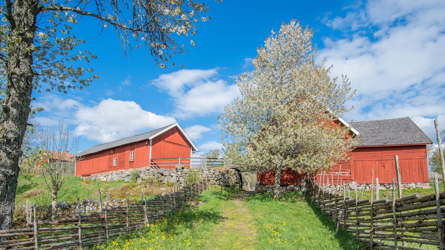 Bo på landgård i Sverige